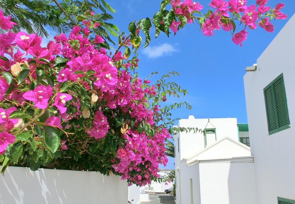 Villas Puerto Rubicon Плая Бланка Екстериор снимка